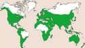Suitable climate zones for hemp cultivation.png