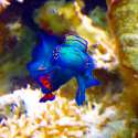 IMG_20150101_160825.jpg