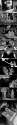 1409338338770.gif