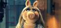 miss-piggy-toronto-cp24.jpg