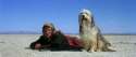 a-boy-and-his-dog.jpg