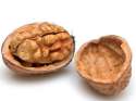 22100414-walnuts2.jpg