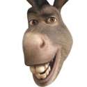 Donk.jpg