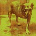 Alice in Chains.jpg