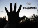 FeelFreedom.jpg