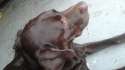20160516_174658.jpg
