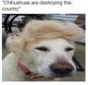 745c207e274e965ff0bf4e342f19da06.jpg
