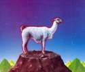 llama.png