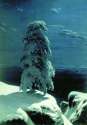 In the Wild North, 1891 - Ivan Shishkin.jpg