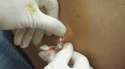 tumblr_n9hahhAPg41qabnxjo2_250[1].gif