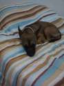 IMG-20160402-WA0017.jpg