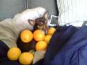 webcam-toy-photo7.jpg