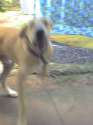 my big.jpg