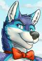 backdraftwolf_vallhund_com-backdraftwolf02_u18chan.png