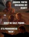 the-force-is-strong-with-these-jokes-37-photos-81.jpg