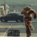 image.gif