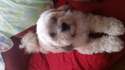 20160507_103303.jpg