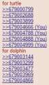 The day TortoiseTurtles won over Dolphins.jpg