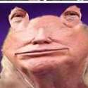 12725000_463809377148535_971258289_a.jpg