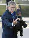 6f0e8718f2d4c243b8bb9266fef664be[1].jpg