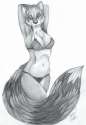 1449428594.olisnowpaw_tobicoon_graphite.jpg