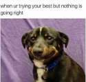 1463856023491.jpg