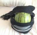 watermelon bandit.jpg