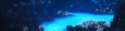 oo.png