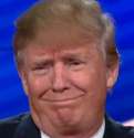 trump_face02.jpg