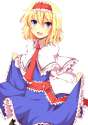 s - 796543 - alice_margatroid black_pantyhose dress dress_lift pantyhose touhou tyata-maru.jpg