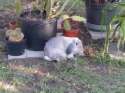 20160524_152817.jpg