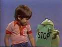 Kermit stop.jpg
