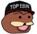 topebin.jpg