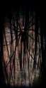 The Slender Man by_Pirate_Cashoo_c.jpg