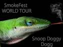 snooplizard.jpg
