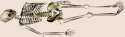 Skeleton2.png