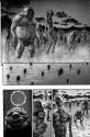Berserk_v12_p082.jpg
