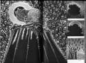 Berserk_v12_p126-127.jpg