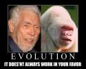 evolution.jpg