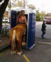Horse Piss.jpg