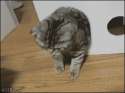received_1691210821145849.gif