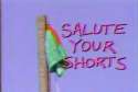 salute.jpg