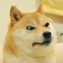 angrydoge.png