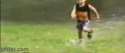 1337005353710.gif