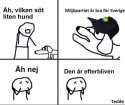 FB_IMG_1461876208035.jpg