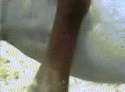 14097357455.gif