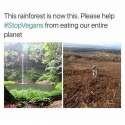 stopvegans.jpg