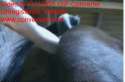 1389220311299.gif