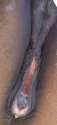 mtr_1388950871944.jpg