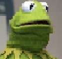 kermit.jpg